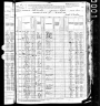 Census IA Polk 1880 Roll 368 Pg 3